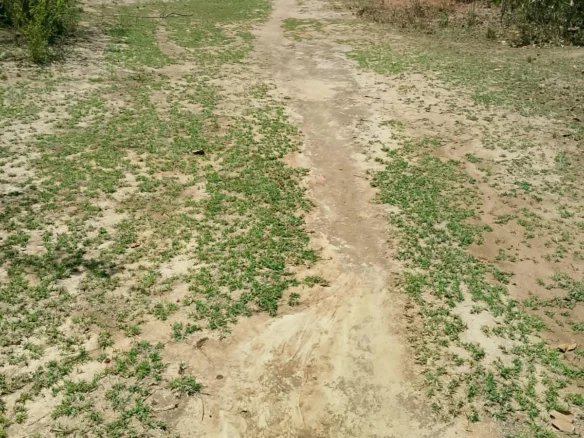 1/8 ACRE PLOTS IN KANYARIRI, EMBU