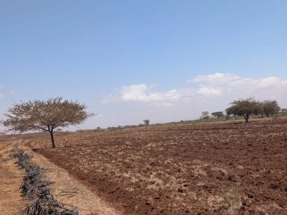 10-ACRE AGRICULTURAL FARM IN LOITOKITOK/KIMANA