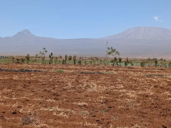 10-ACRE AGRICULTURAL FARM IN LOITOKITOK/KIMANA