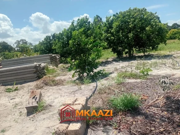 10-ACRE AGRICULTURAL PROPERTY IN MJOMBONI-Mature coconut and mango tree
