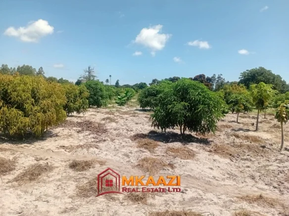 10-ACRE AGRICULTURAL PROPERTY IN MJOMBONI-Mature coconut and mango tree