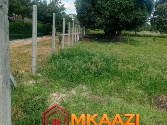 10-ACRE AGRICULTURAL PROPERTY IN MJOMBONI-Mature coconut and mango tree