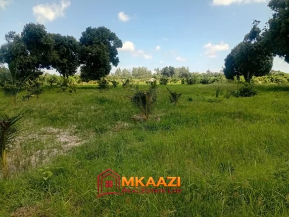 10-ACRE AGRICULTURAL PROPERTY IN MJOMBONI-Mature coconut and mango tree