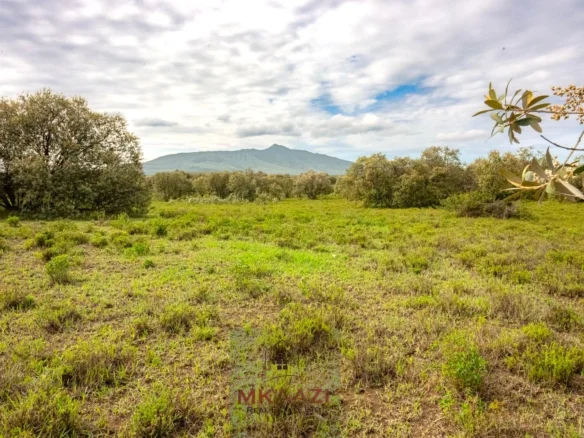 10-ACRE PRIME RESIDENTIAL LAND IN EXCLUSIVE KEDONG ESTATE, NAIVASHA