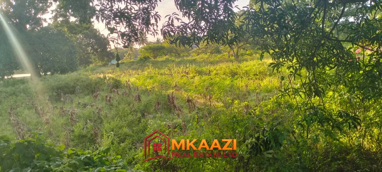 2-ACRE FREEHOLD PROPERTY IN MSABAHA, MALINDI