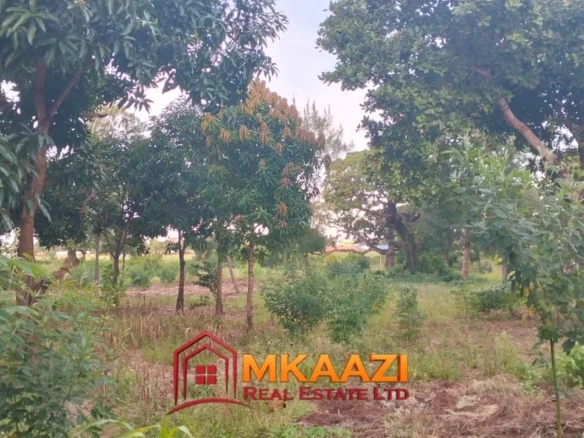 2-ACRE FREEHOLD PROPERTY IN MSABAHA, MALINDI