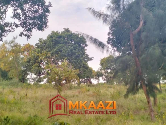 2-ACRE FREEHOLD PROPERTY IN MSABAHA, MALINDI
