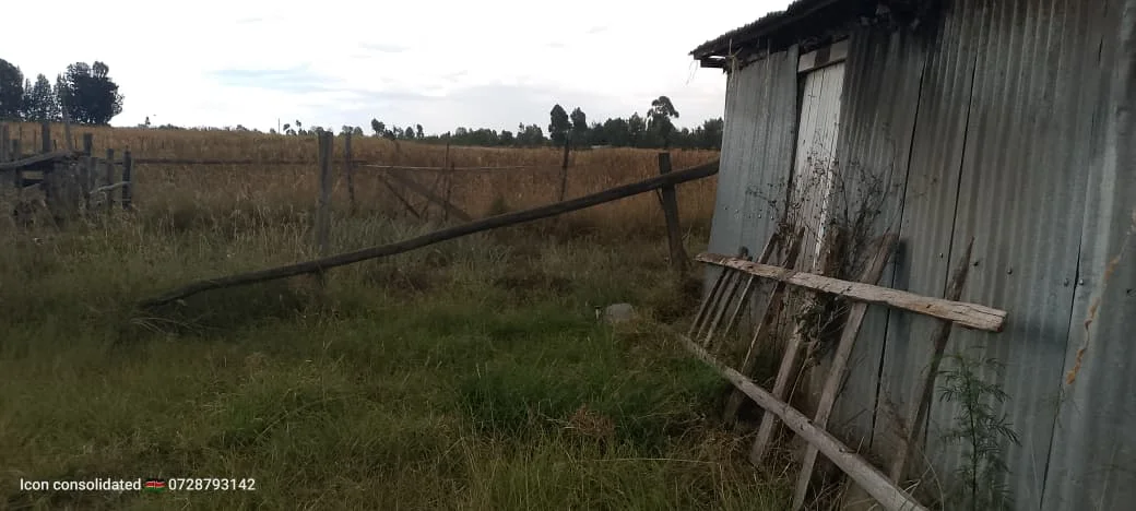 2 ACRES FOR SALE - LESHAU, NYAHURURU 