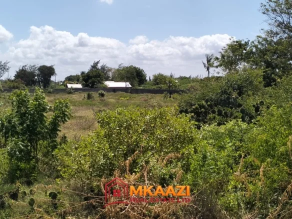 2 ACRES FOR SALE IN MAMBRUI-PRIME SECOND ROW COASTAL LAND