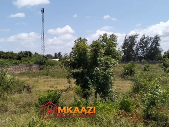 2 ACRES FOR SALE IN MAMBRUI-PRIME SECOND ROW COASTAL LAND