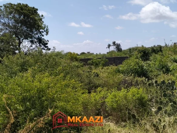 2 ACRES FOR SALE IN MAMBRUI-PRIME SECOND ROW COASTAL LAND