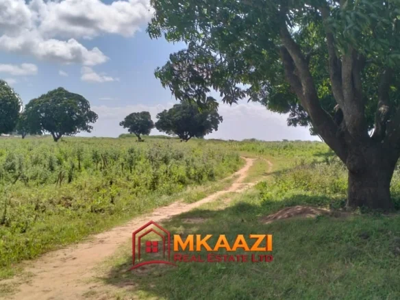 4-ACRE LAND IN MUGURULENI, SABAKI WARD, MAGARINI