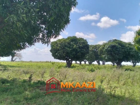 4-ACRE LAND IN MUGURULENI, SABAKI WARD, MAGARINI