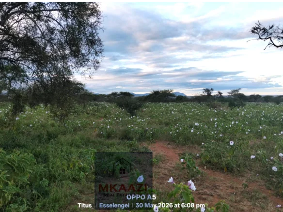 42-ACRES FREEHOLD LAND IN ESELENKEI, KAJIADO SOUTH