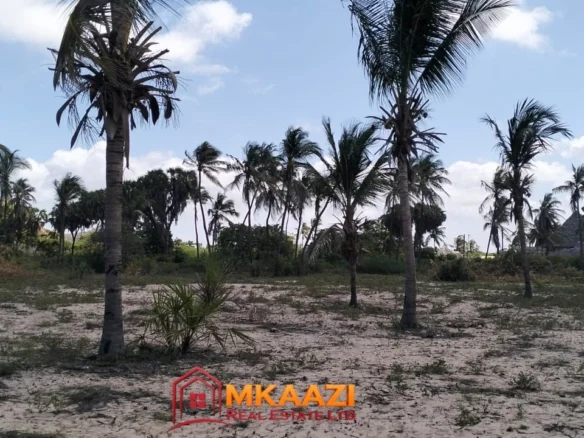 5-ACRE BEACHFRONT PROPERTY FOR SALE IN  MAMBRUI, MALINDI