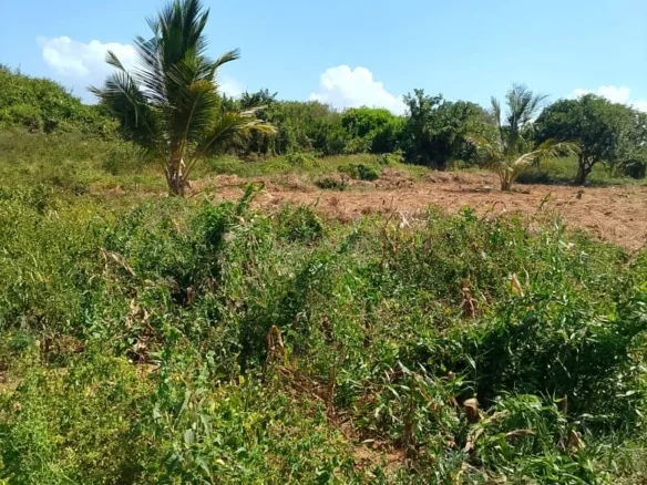 5-ACRE OCEANFRONT PROPERTY ON MANDA ISLAND - FREEHOLD TITLE