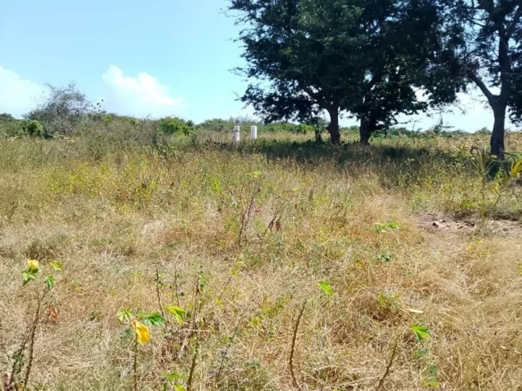 5-ACRE OCEANFRONT PROPERTY ON MANDA ISLAND - FREEHOLD TITLE
