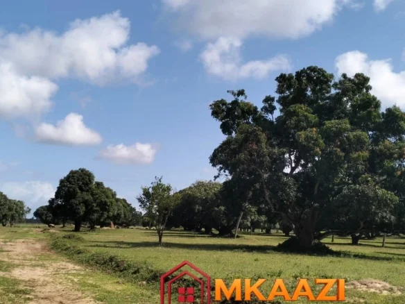 50*100 PLOT FOR SALE IN AIRPORT VIEW, MALINDI