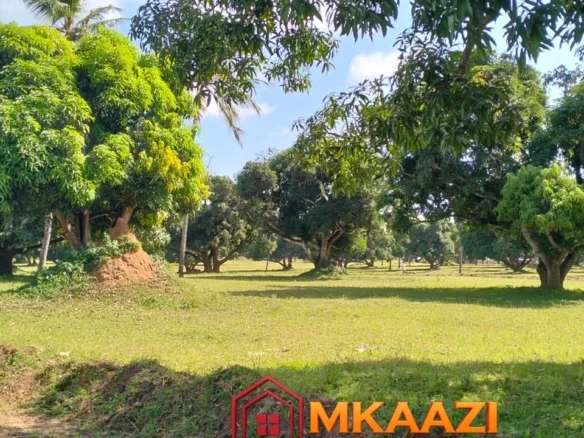 50*100 PLOT FOR SALE IN AIRPORT VIEW, MALINDI