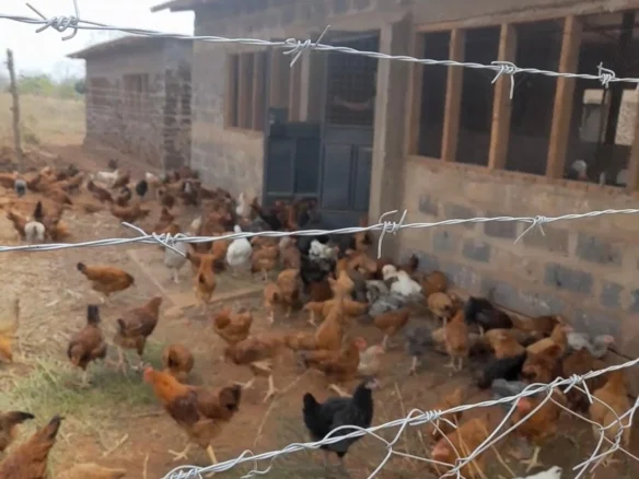 51-ACRE DEVELOPED RANCH IN KIBWEZI, MAKUENI COUNTY