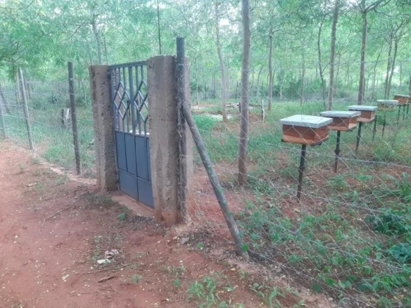 51-ACRE DEVELOPED RANCH IN KIBWEZI, MAKUENI COUNTY