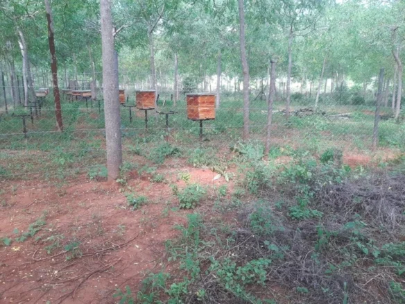51-ACRE DEVELOPED RANCH IN KIBWEZI, MAKUENI COUNTY