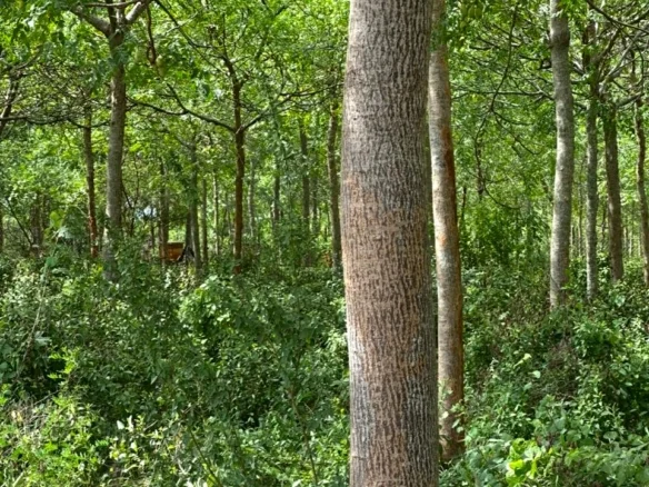 51-ACRE DEVELOPED RANCH IN KIBWEZI, MAKUENI COUNTY