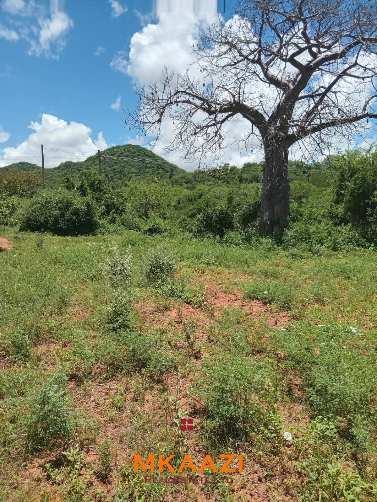 550 ACRES OF PRIME FREEHOLD AGRICULTURAL LAND FRONTING ATHI RIVER-KIBWEZI/KITUI