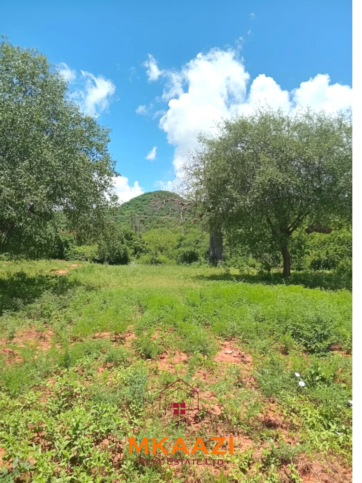 550 ACRES OF PRIME FREEHOLD AGRICULTURAL LAND FRONTING ATHI RIVER-KIBWEZI/KITUI