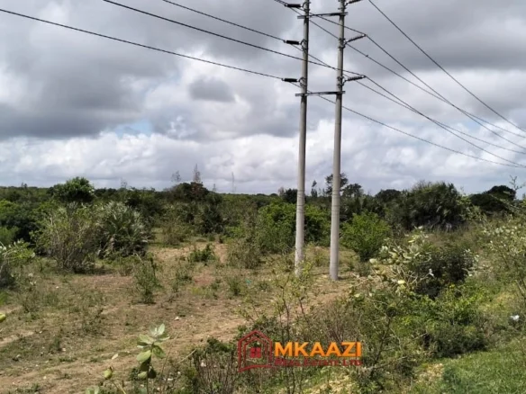 7-ACRE INVESTMENT LAND FOR SALE NEAR LAMU PORT - BORA IMANI, LAMU