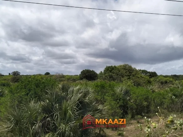 7-ACRE INVESTMENT LAND FOR SALE NEAR LAMU PORT - BORA IMANI, LAMU