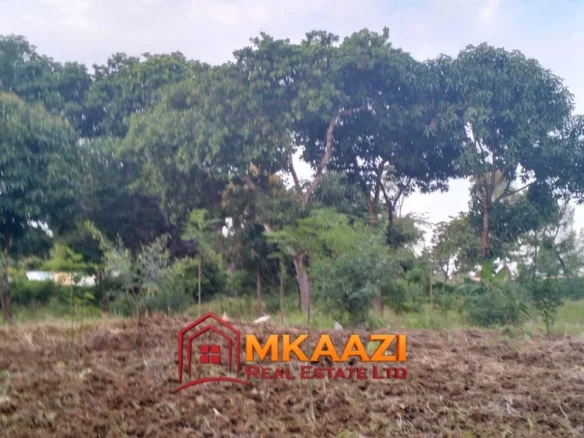 7-ACRE LAND IN FURUNZI, MALINDI | NEAR MALINDI AIRPORT