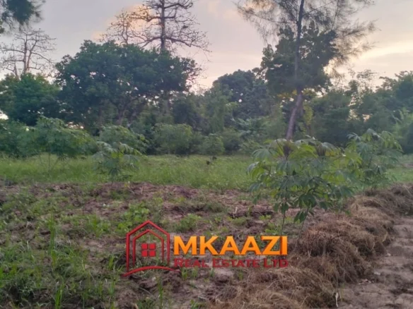 7-ACRE LAND IN FURUNZI, MALINDI | NEAR MALINDI AIRPORT