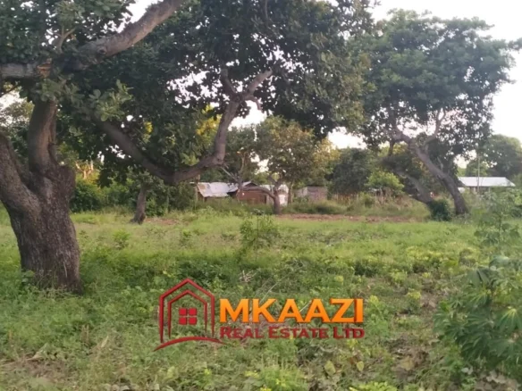 7-ACRE LAND IN FURUNZI, MALINDI | NEAR MALINDI AIRPORT
