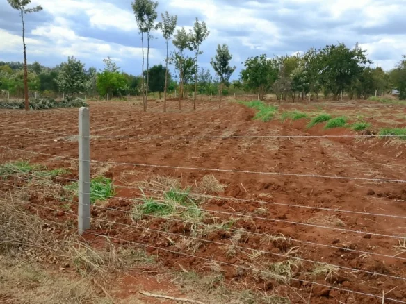  AFFORDABLE QUATER ACRE PLOT IN GACHOKA, EMBU