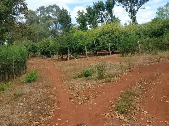  AFFORDABLE QUATER ACRE PLOT IN GACHOKA, EMBU