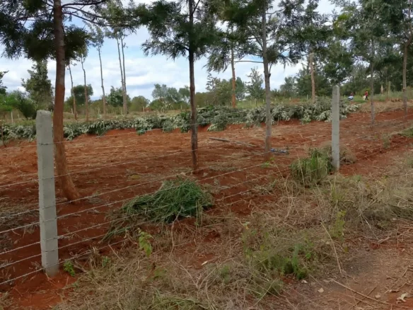  AFFORDABLE QUATER ACRE PLOT IN GACHOKA, EMBU