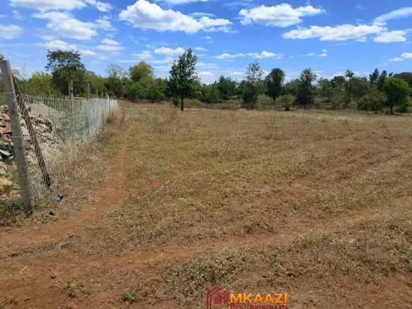 COMMERCIAL QUARTER-ACRE PLOT IN GACHOKA, EMBI