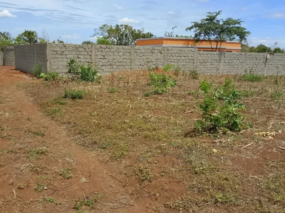 COMMERCIAL QUARTER-ACRE PLOT IN GACHOKA, EMBI