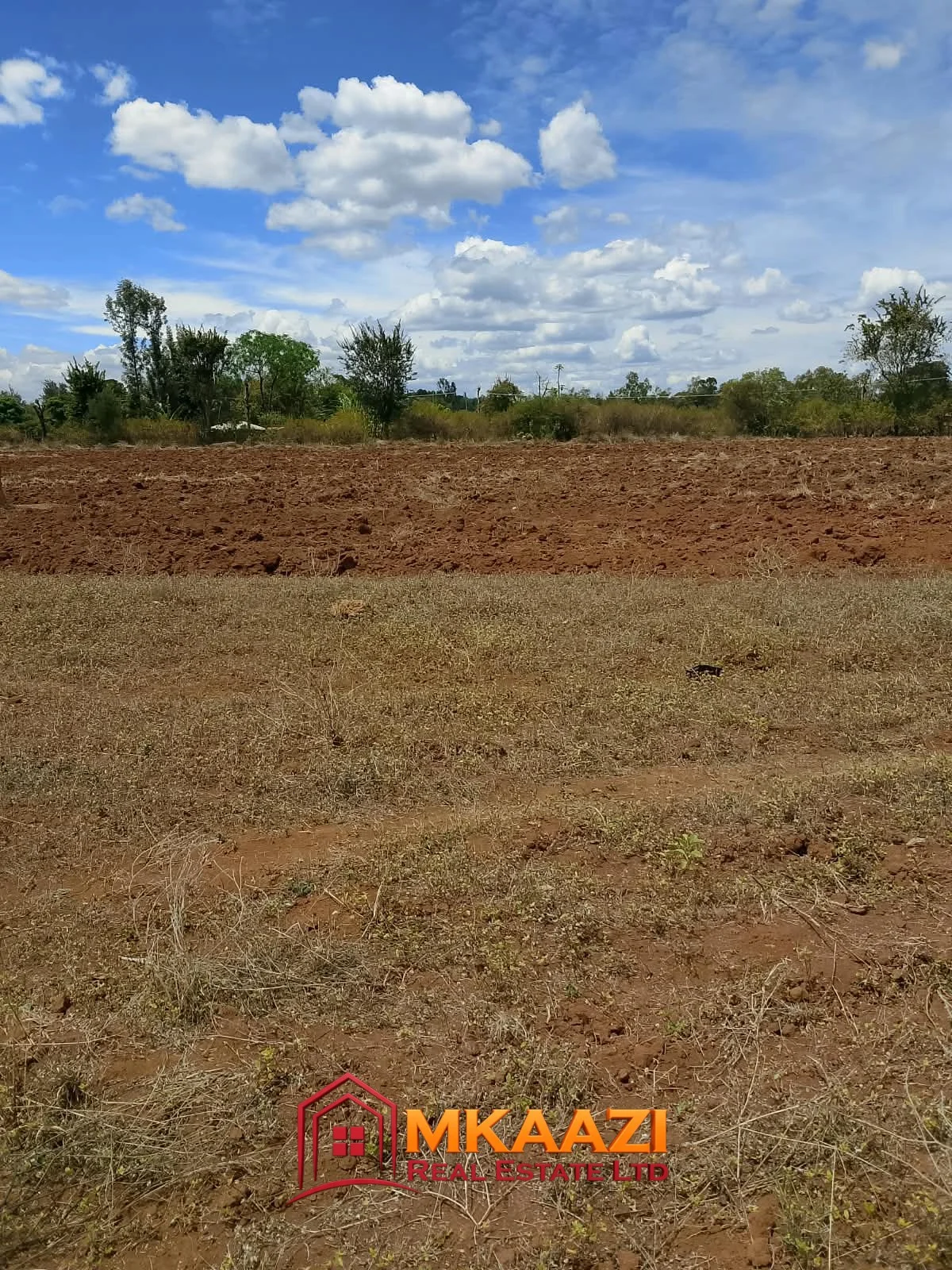 COMMERCIAL QUARTER-ACRE PLOT IN GACHOKA, EMBI