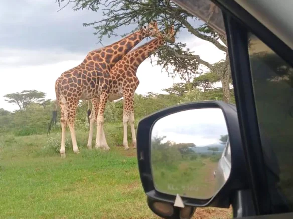 EXCEPTIONAL 2964-ACRE-ACRE PRIME RANCH LAND IN NAIVASHA