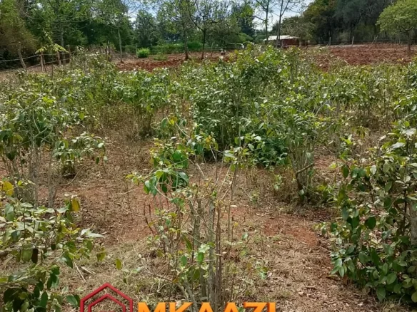 HALF ACRE RESIDENTIAL PLOT IN GACHOKA, EMBU