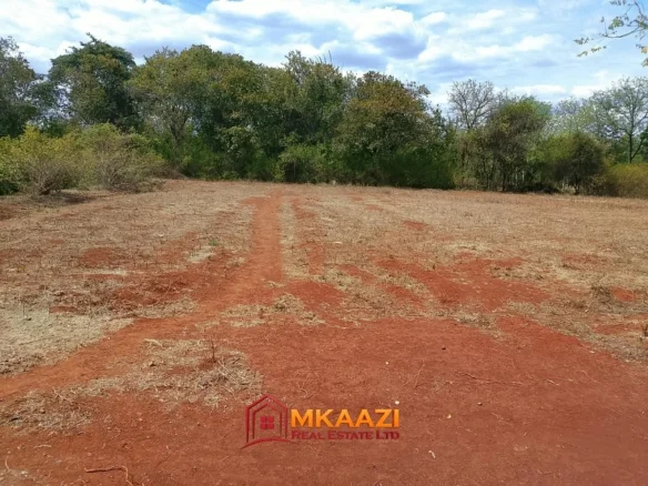 HALF ACRE RESIDENTIAL PLOT IN GACHOKA, EMBU