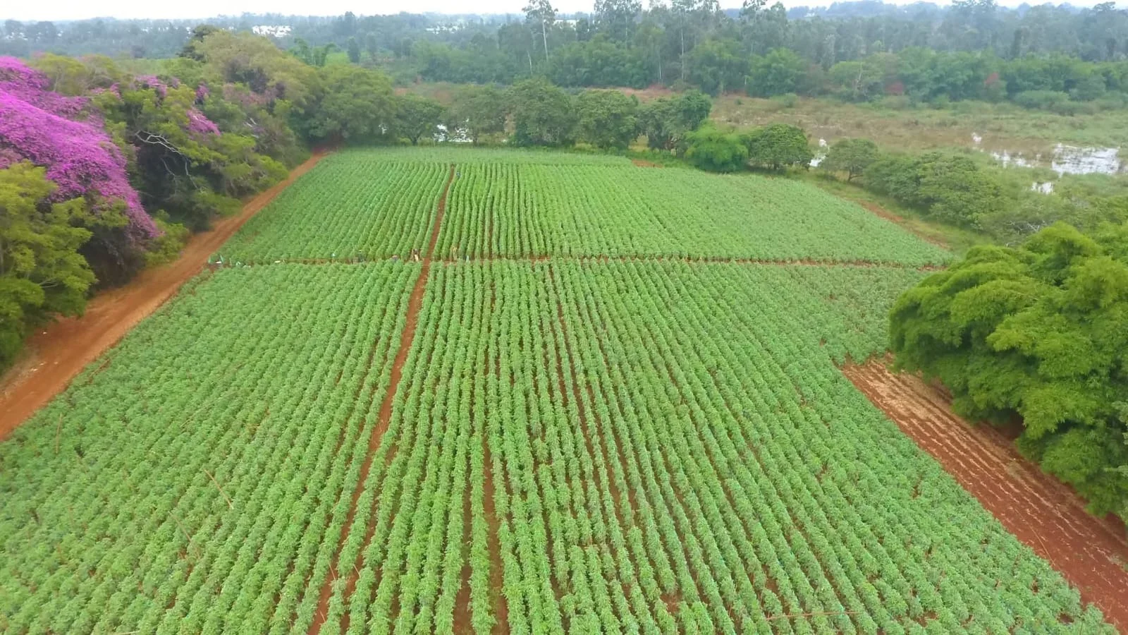 KASITI SPRINGS,INVEST WHERE GROWTH IS HEADING -THIKA–GATANGA ROAD