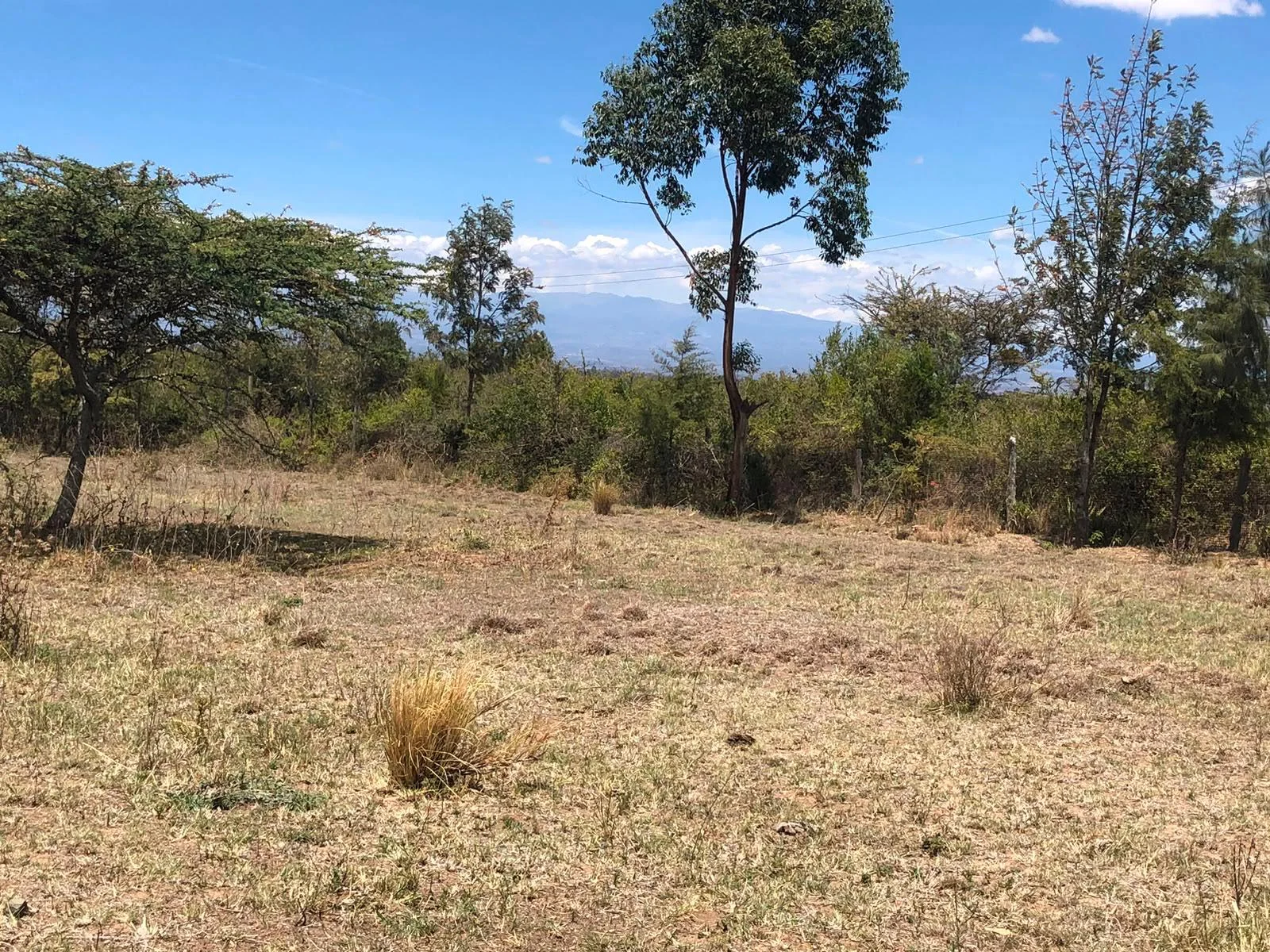 LOWER BURGURET - 7 ACRES OF PRIME LAND