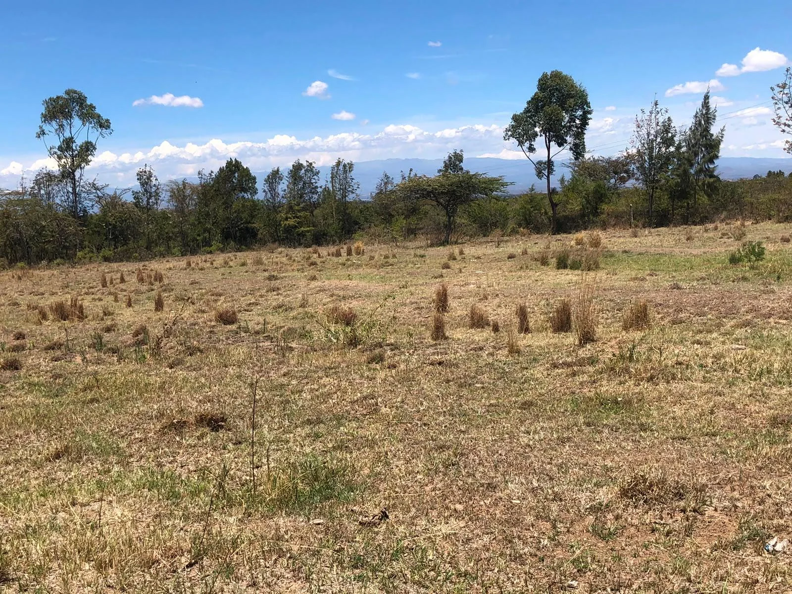 LOWER BURGURET - 7 ACRES OF PRIME LAND