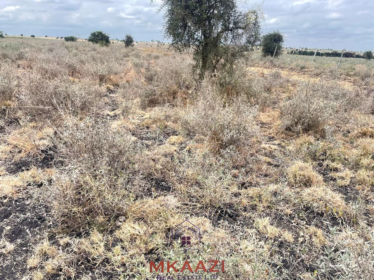 PRIME 1/5 ACRE PLOT IN KISAJU, KAJIADO