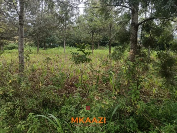 PRIME 1/8 ACRE RESIDENTIAL PLOTS IN KAARA AREA, NGONG