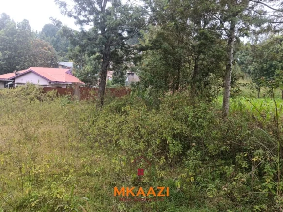PRIME 1/8 ACRE RESIDENTIAL PLOTS IN KAARA AREA, NGONG
