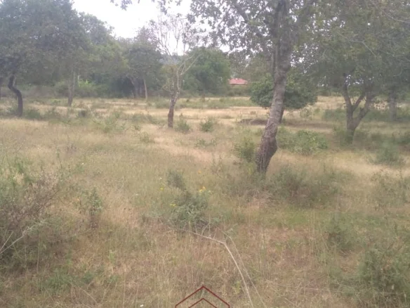 PRIME 10-ACRE STRATEGIC INVESTMENT LAND ON SULTAN, EMALI OFF MOMBASA ROAD
